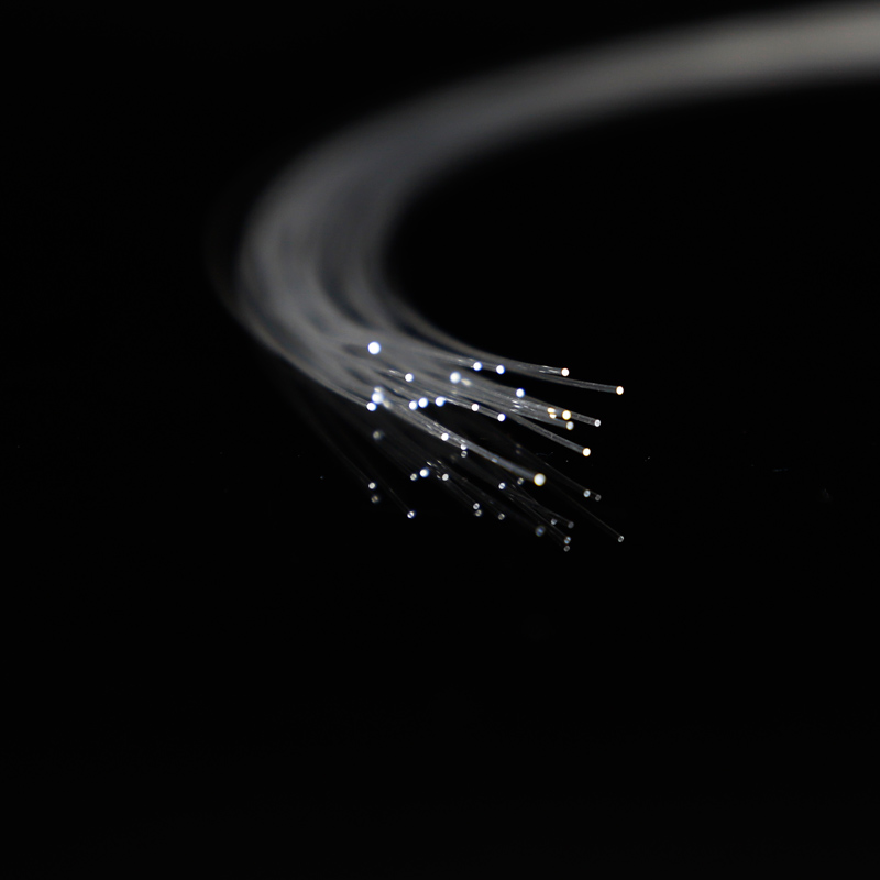 Disposable endoscope with a plastic optical fiber